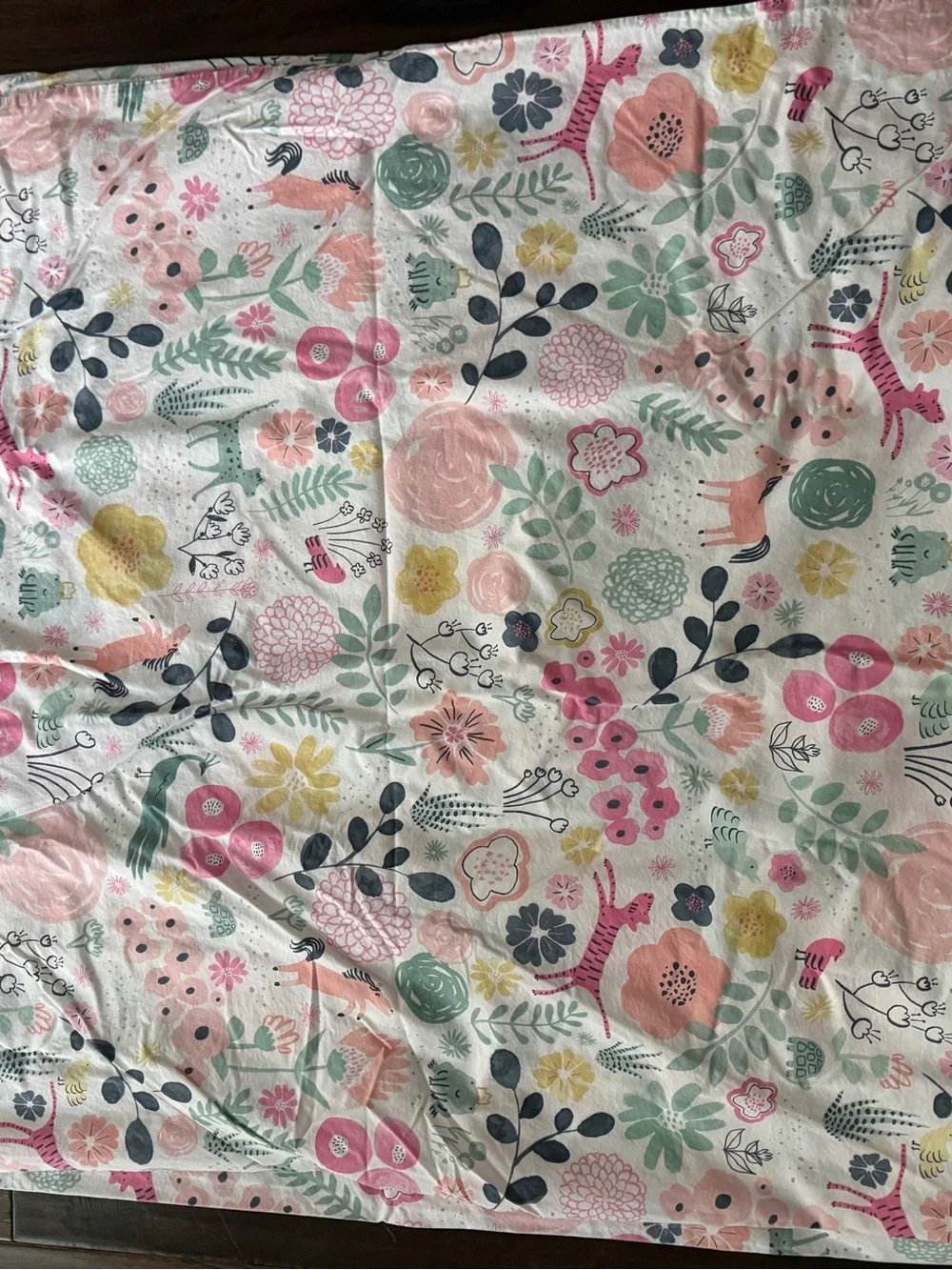 Pottery Barn Kids Sasha’s Garden Twin Duvet Cover and Standard Sham